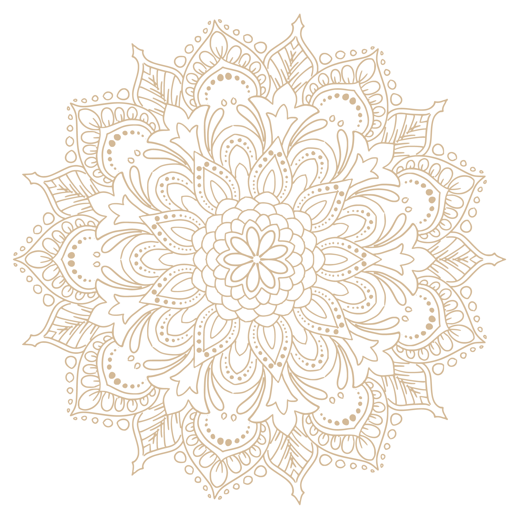 mandala bg